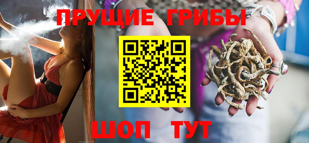 Галлюциногенные грибы MAGIC MUSHROOMS Ахтубинск