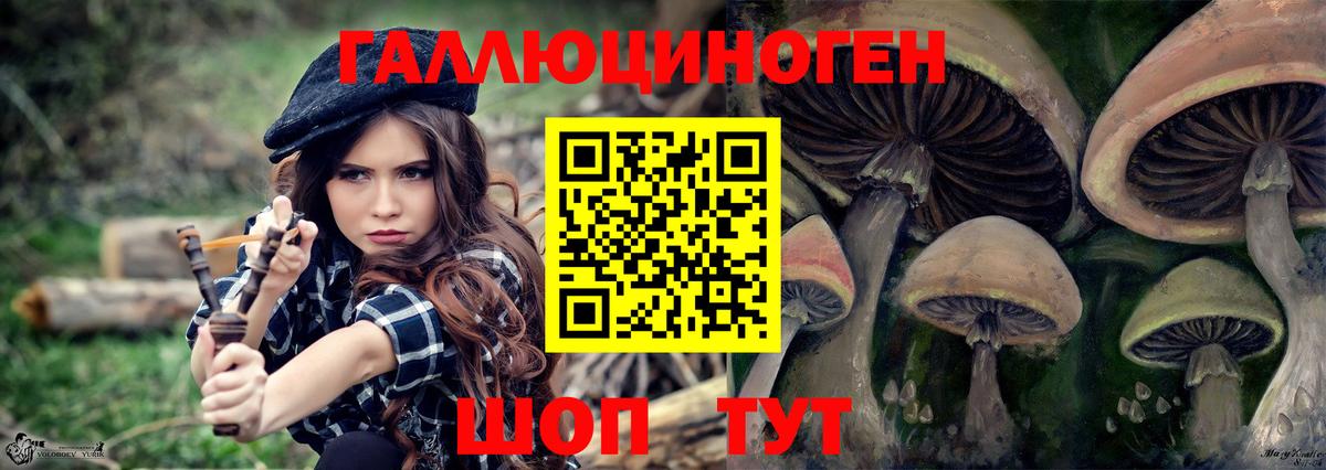 Галлюциногенные грибы MAGIC MUSHROOMS  Псилоцибиновые грибы Cubensis  Вход с VPN  Ахтубинск 